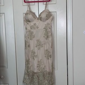 Gold Lace Nude Dress